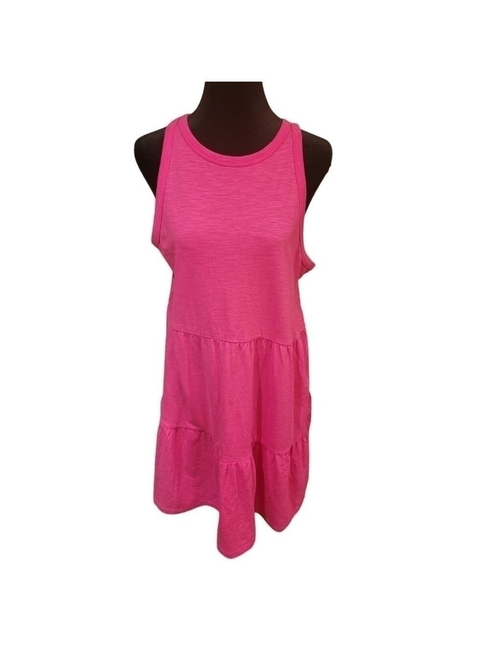 NWT L Pink Gap dress